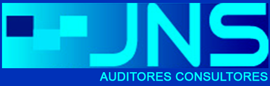 JNS AUDITORES CONSULTORES SPA